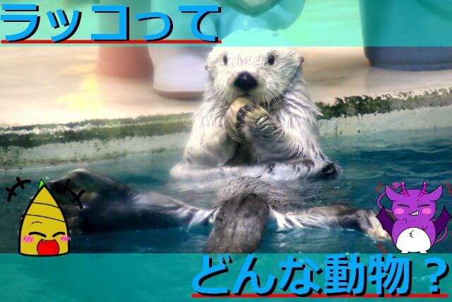 Thumbnail of post image 017